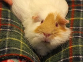 2020-01-24-3691 Jess.jpg